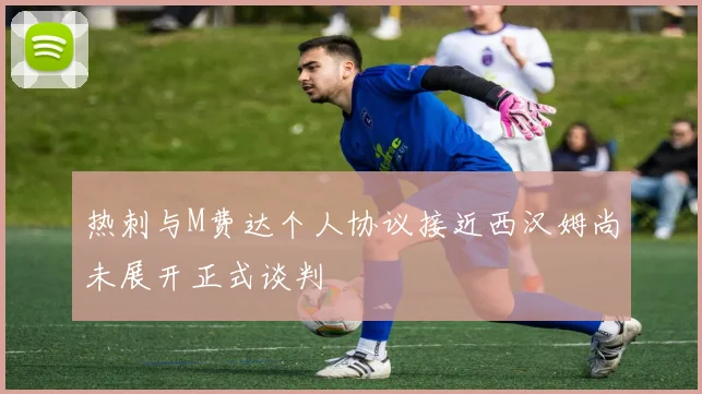 热刺与M费达个人协议接近西汉姆尚未展开正式谈判