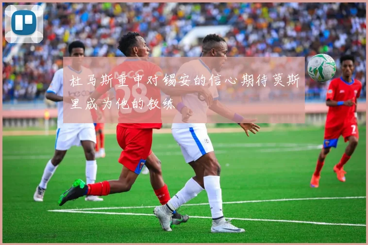 杜马斯重申对锡安的信心期待莫斯里成为他的教练