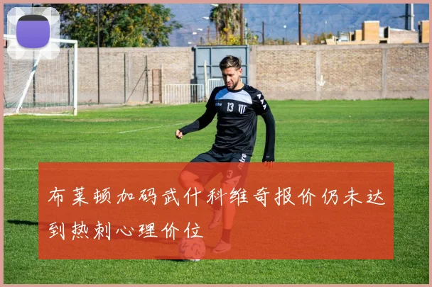 布莱顿加码武什科维奇报价仍未达到热刺心理价位