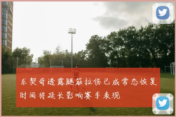 东契奇透露腿筋拉伤已成常态恢复时间将延长影响赛季表现